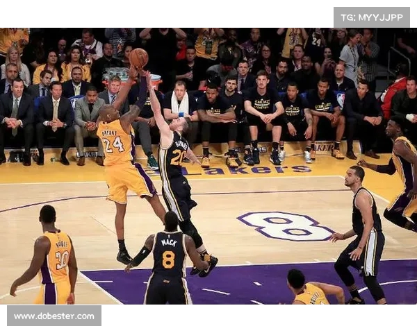 NBA球迷文化的演变与影响：从激情呐喊到全球社群的崛起