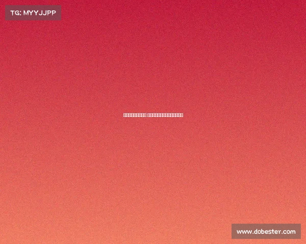 英超新赛季强势启航 谁将成为冠军争夺者的最大黑马