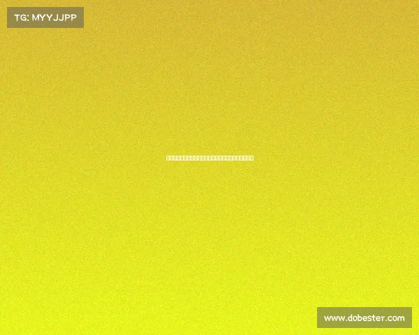 枪手目标中卫雅凯深度分析:新萨利巴还是迷你科纳特? 枪手目标中卫雅凯深度分析:新萨利巴还是迷你科纳特?